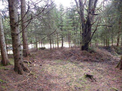 Foto 33